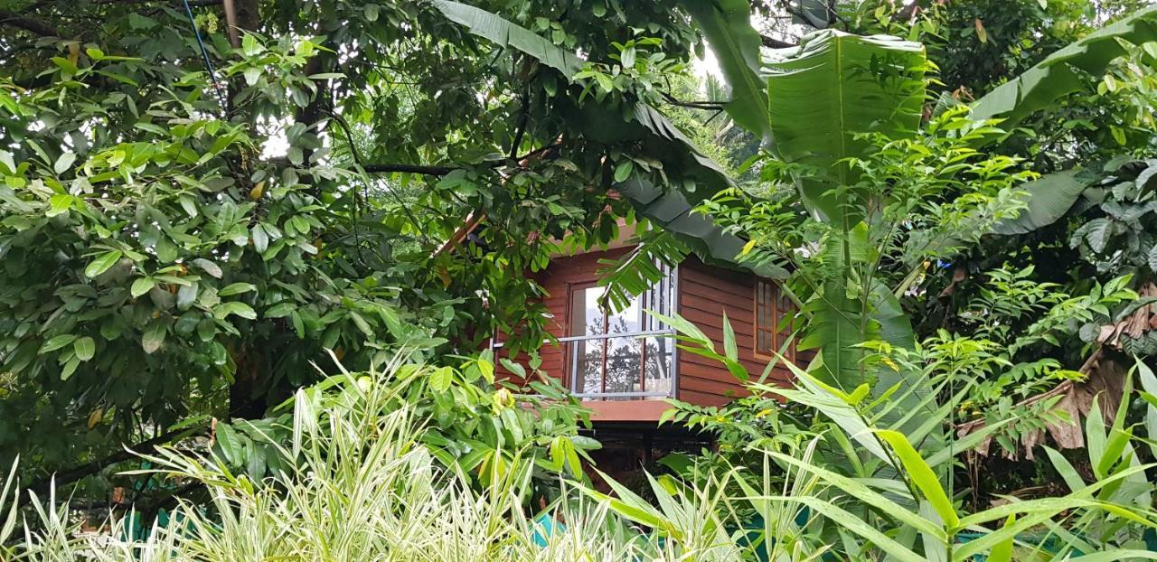 Wayanad Doubletree Villa Vythiri Exterior foto