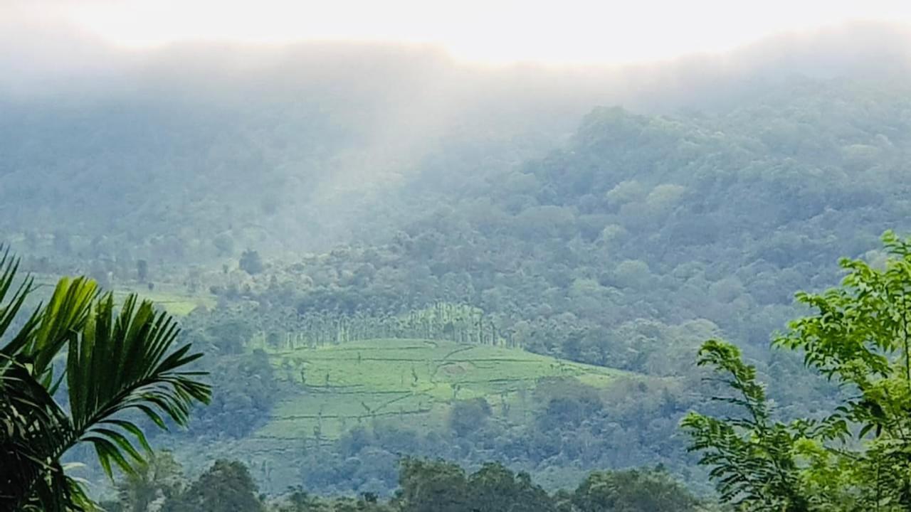 Wayanad Doubletree Villa Vythiri Exterior foto